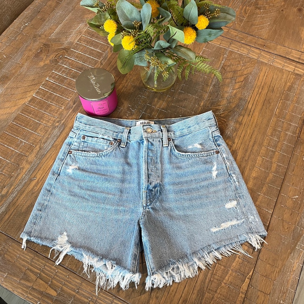 AGOLDE PARKER LONG SHORTS in Swapmeet